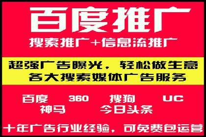 SEM推广实战：案例分析与优化
